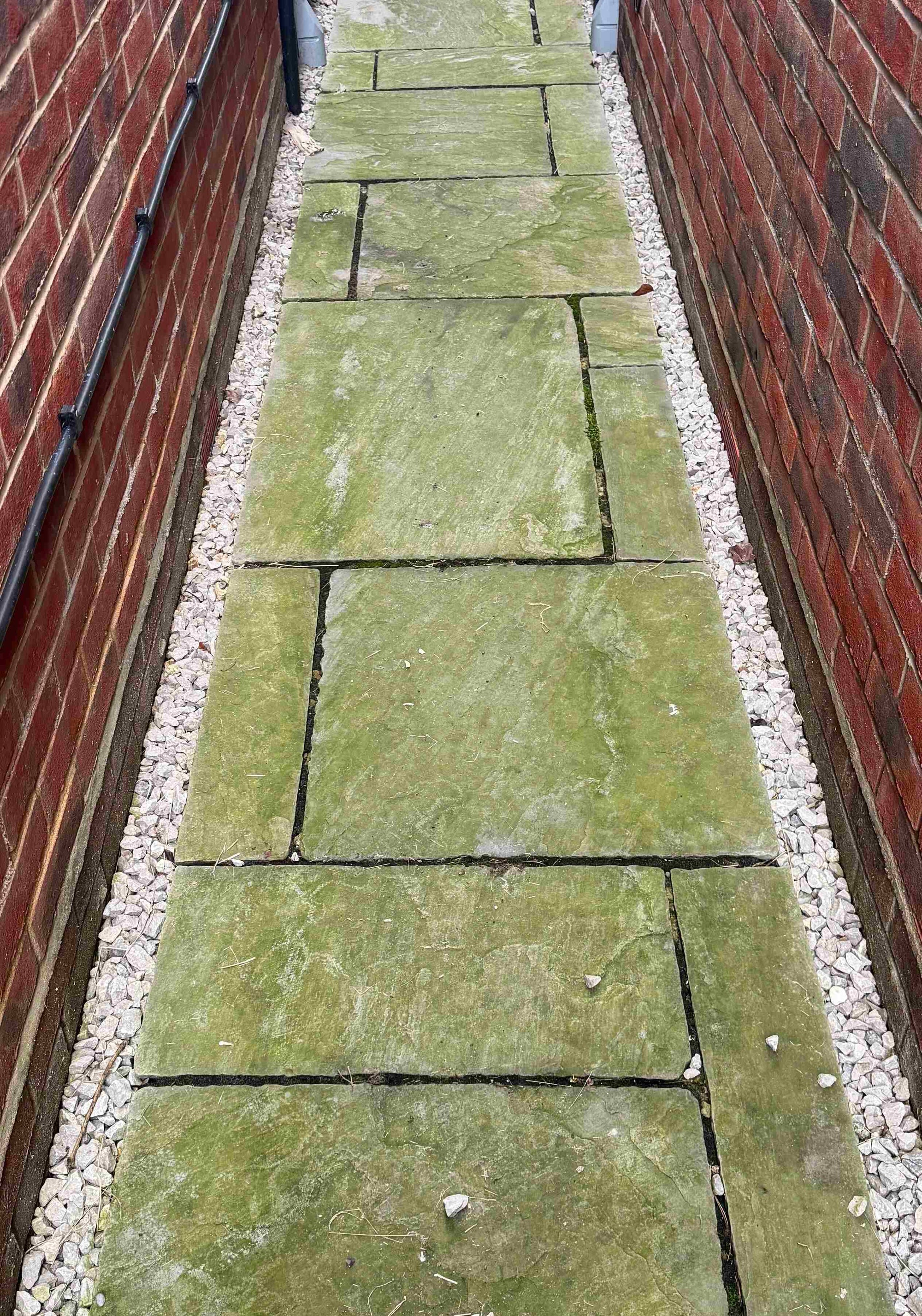 How to tackle Green mould, algae and lichen on patio