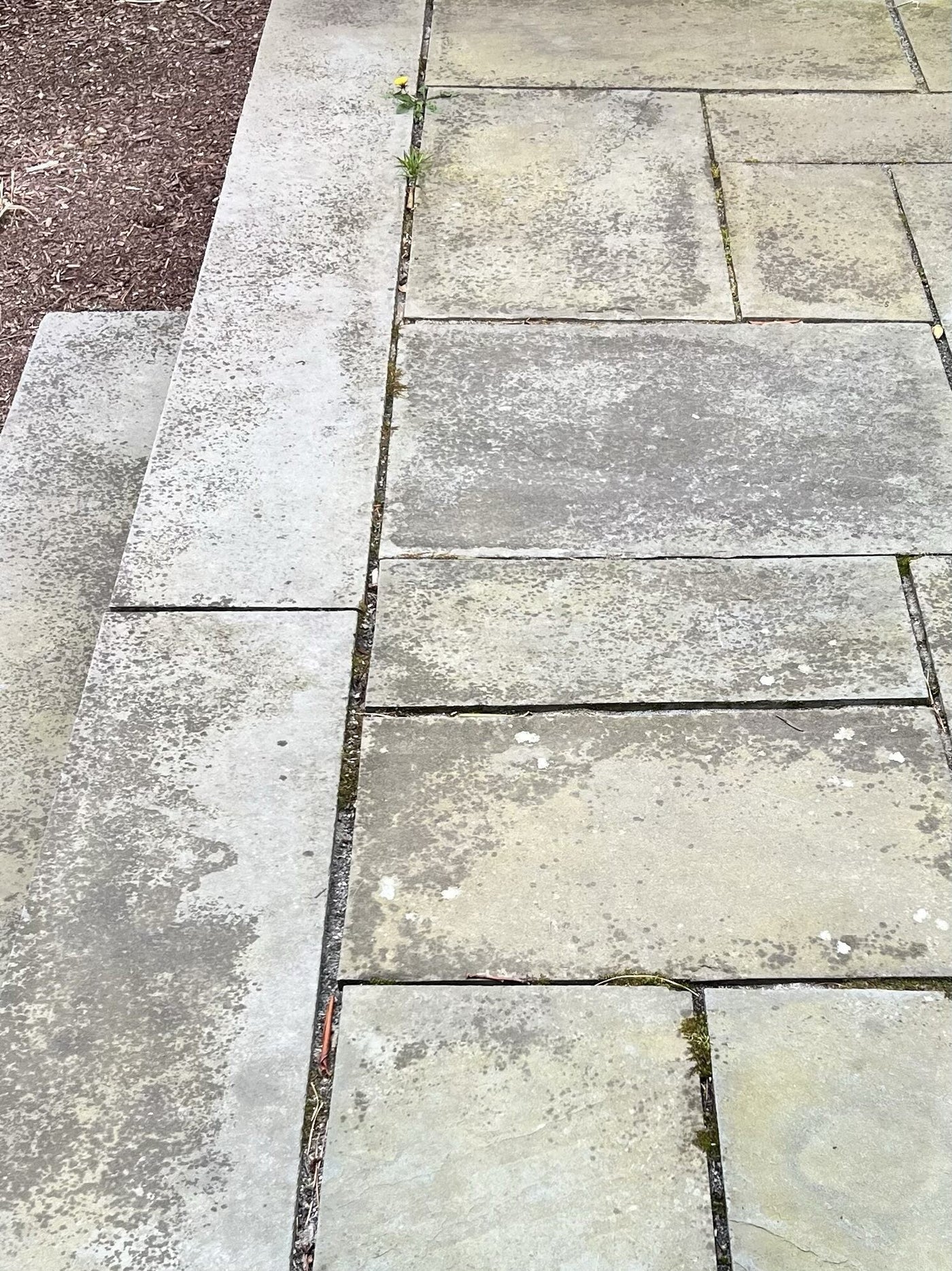 Stained Bluestone Remove black stains from Bluestone