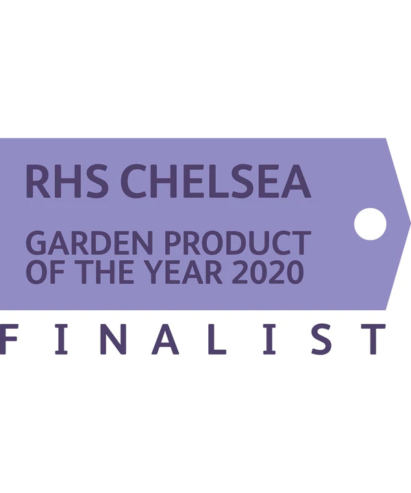 RHS Chelsea 2020 finalist Patio Black Spot Removal